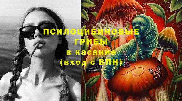 спиды Аркадак