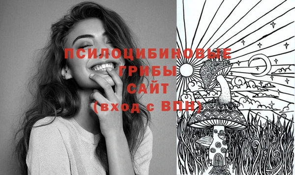 спиды Аркадак