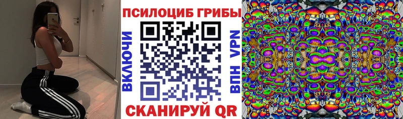 Галлюциногенные грибы Cubensis  купить закладку  Сальск 
